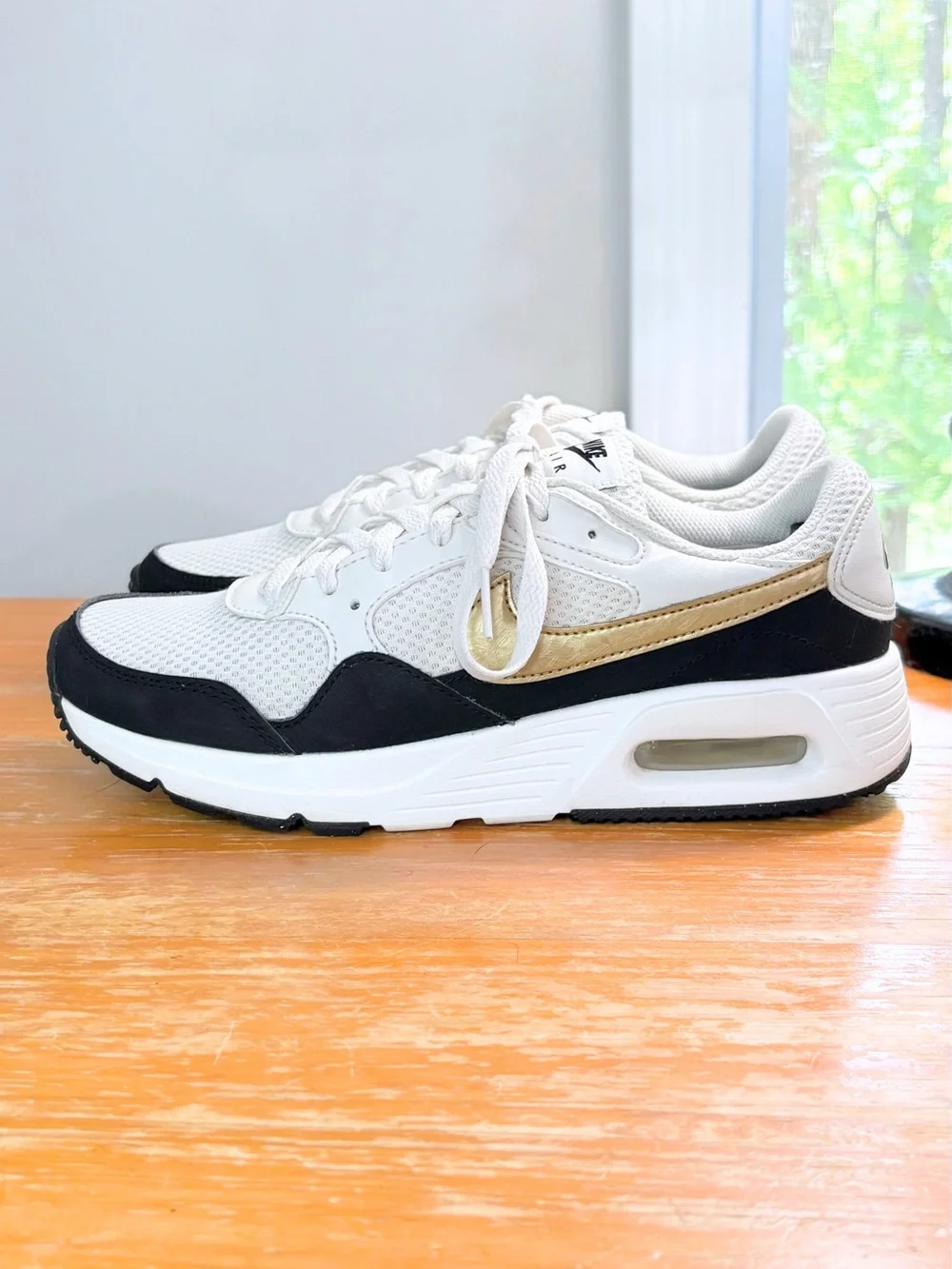 Nike Air Max SC SE Women’s Shoe
